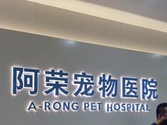 -阿荣24H宠物医院·综合型转诊中心·CT·核磁影像中心
