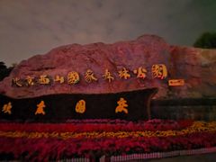 -鬼笑石后山停车场