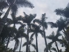 -广州雕塑公园