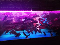 -三旗百汇商品城