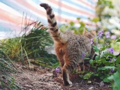 -苏州河梦清园环保主题公园