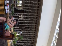 -大堂酒廊·亚龙湾万豪度假酒店
