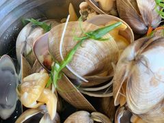 -渔娘渔家丹东海鲜(东直门店)