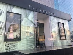 门面-BLACKSWAN黑天鹅(环球店)