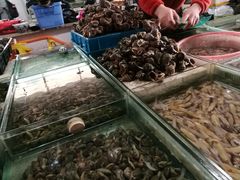 海螺-石塘路海鲜市场(草厂中路店)