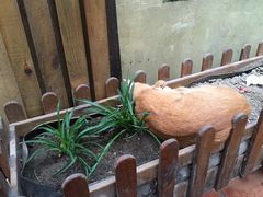 -老宅原住民沙茶面精品小吃(龙头路店)