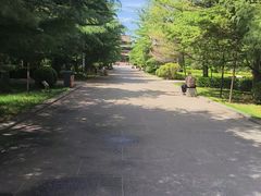 -迎泽公园