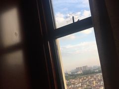 -常州环球恐龙城维景国际大酒店
