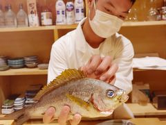 -镹·鱼料理  国产鱼使用店