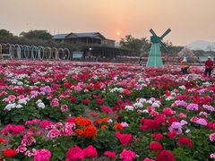 -盈香心动乐园