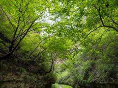 -龙门涧景区