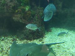 -鸿通城购物中心