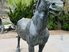 -元大都城垣遗址公园