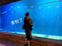 -华夏文旅海洋公园