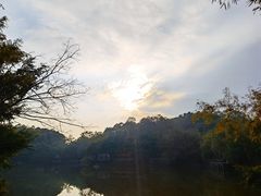 -老木棉·匠园