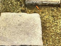 -邈墨茶馆(凤起路店)