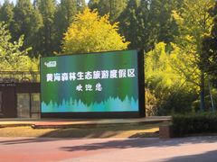 -黄海国家森林公园