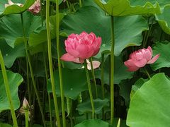-沐仙湖湿地公园