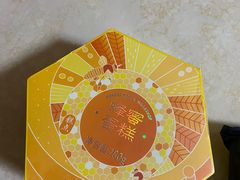 -蒲公英(五里店)