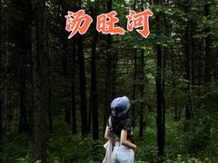 -汤旺河林海奇石景区