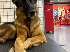 -KingBull私教健身&格斗订制(龙井商业中心店)