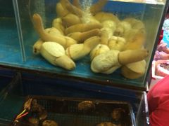 -御唐府海珊瑚主题餐厅