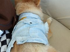 -怪兽屋·羊驼·猫咖·狗咖(俊华广场店)
