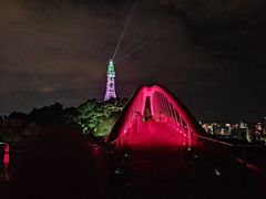 -金鸡山公园