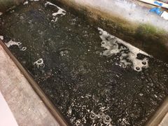 -雪湖煜辰鱼头老店(雪野湖店)