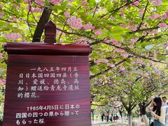 -西安青龙寺遗址景区