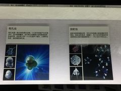 -同济大学四平路校区深海探索馆