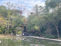 -曼听御花园