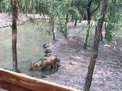 -溱湖国家湿地公园