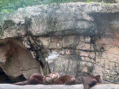 -香港海洋公园