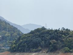-广州市流溪河国家森林公园