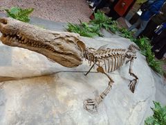 -自贡恐龙博物馆