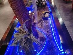 -松沪名灶·豆浆鱼头·新上海菜(飞航吾悦广场店)