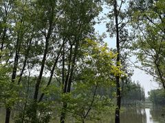 -东郊湿地公园