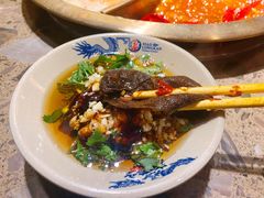 龙哥鲜毛肚-小龙坎火锅(春熙太古里店)