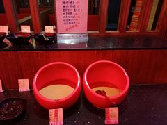 -陈阿婆重庆绿色鱼火锅