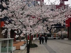 -绿地风尚天地广场