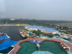 -秦皇岛乐岛海洋王国