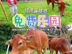 -华农酸奶文化馆