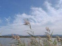 -野鸭湖国家湿地公园