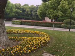 -荆川公园