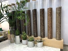 -幸运咖(公园茂直营店)