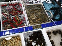 -霞涌市场海鲜摆卖区