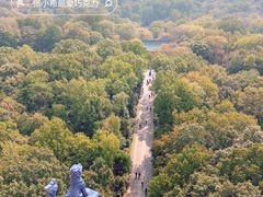 -灵谷景区
