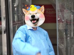 -上海市普陀区中心医院