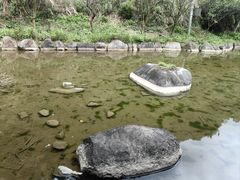 -龙井峡漂流